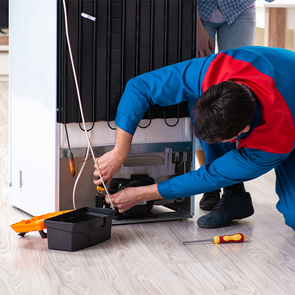 what are the common refrigerator repair services in Chewalla